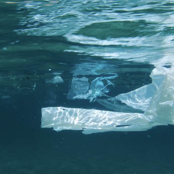 Día Mundial de los Océanos